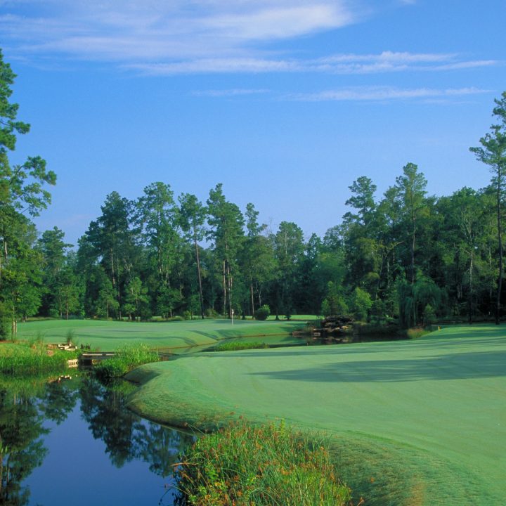 Look over Nicklaus green The Club at Carlton Woods - Nicklaus green #15 #15 at