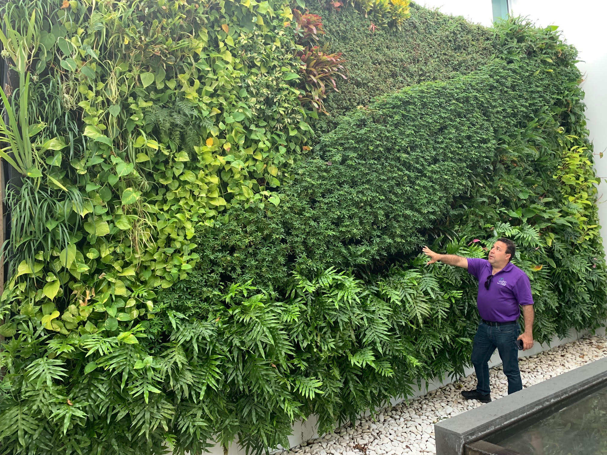 Victor Franco inspecting Miami Vertical Garden living wall at Juvia in Miami Beach